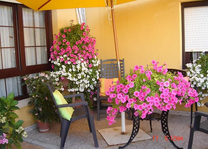 게스트하우스 Anjanas De 3*