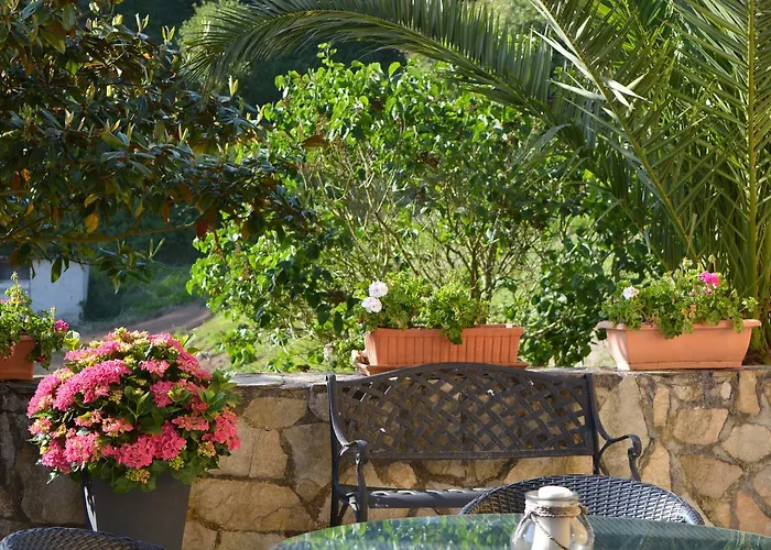 Anjanas De 게스트하우스