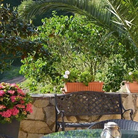 Anjanas De Casa de hóspedes